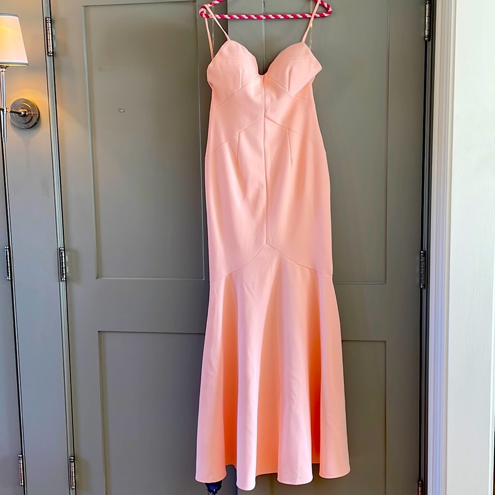 NEW never worn fit and flare pink formal gown